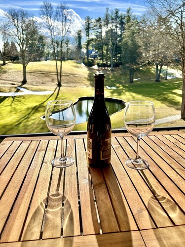 NEW Papa's Place on 1st hole Linville Land Harbor Pet Friendly 