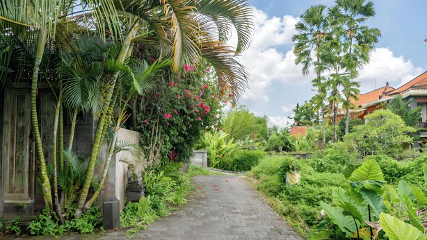 A paved pathway flanked by lush greenery and a variety of plants. - Belvilla Nirvana Near Monkey ForestNearCampuhan Ridge Walk (Ubud)