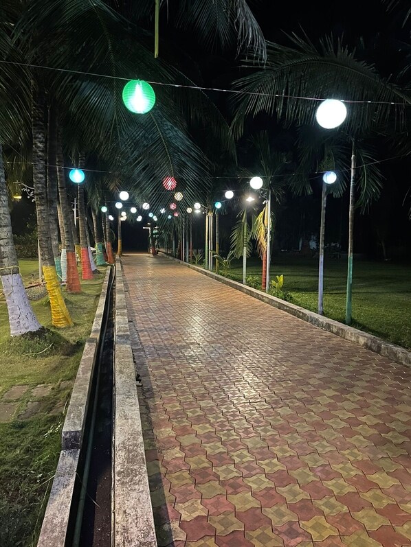 A paved pathway lined with palm trees and street lamps at night.