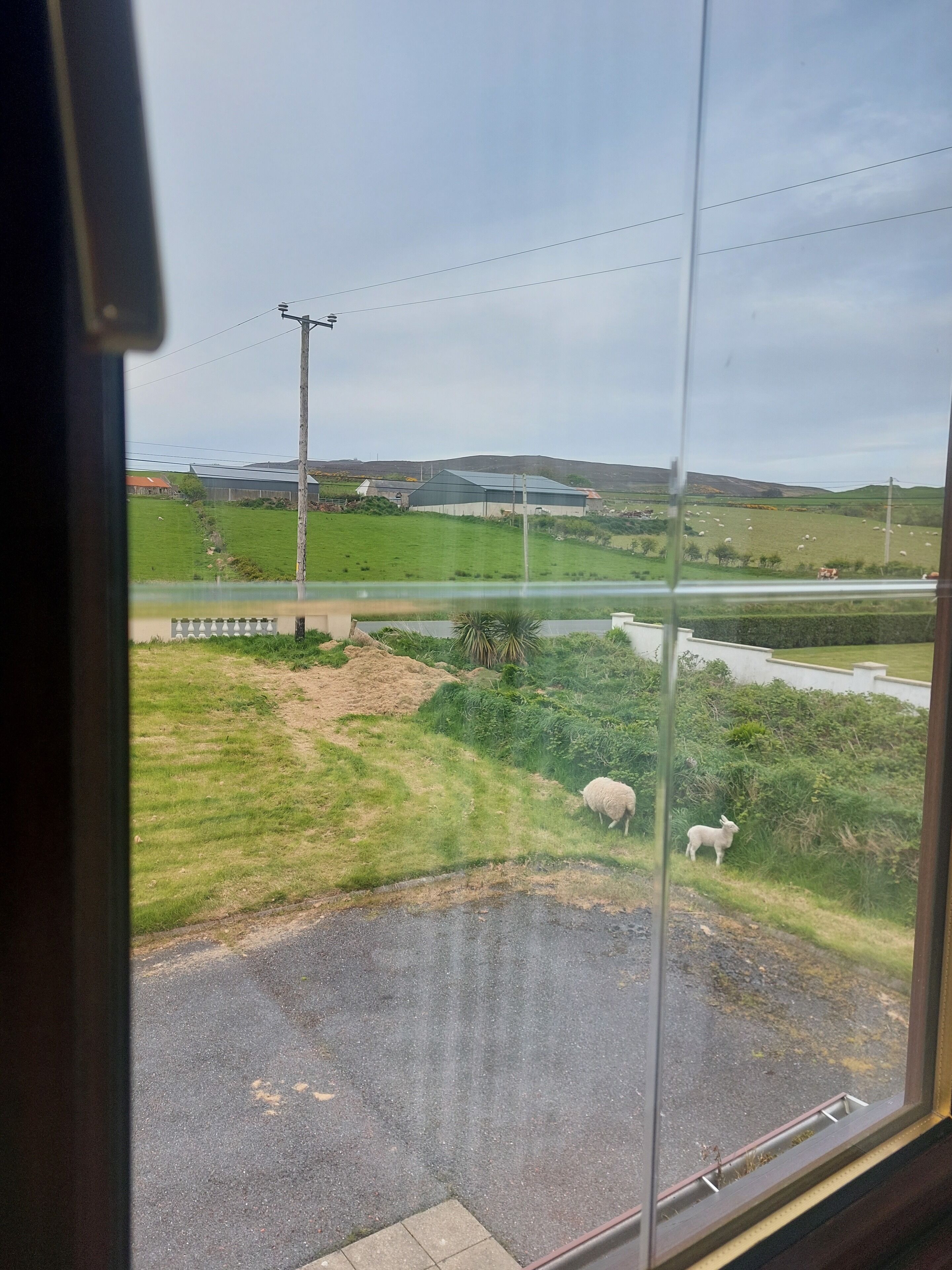 House | View from property