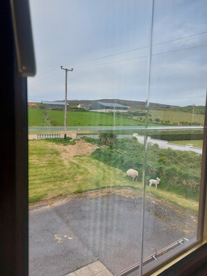 House | View from property