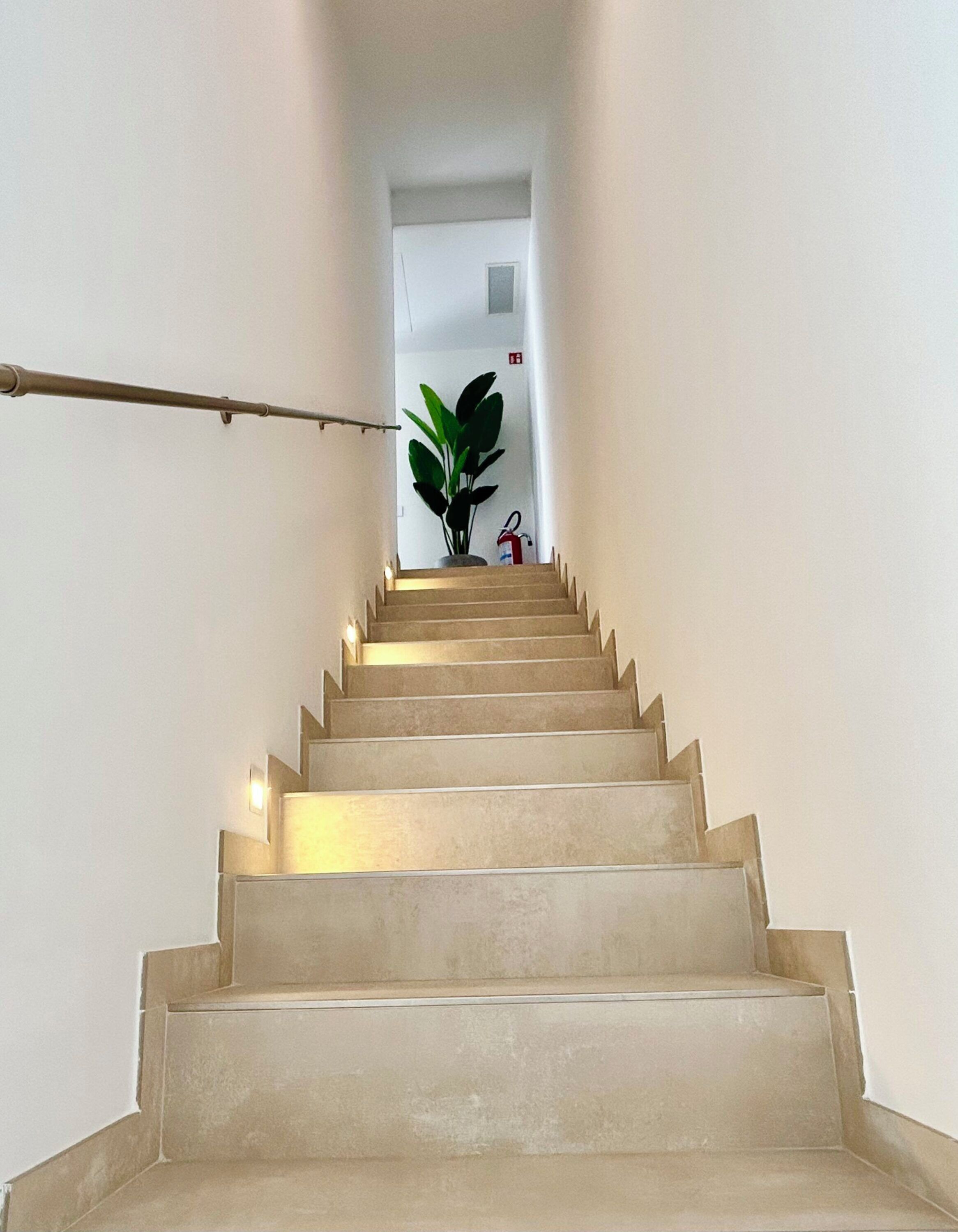 Un escalier aux marches de couleur beige menant à un palier où se trouve une porte blanche et une plante.