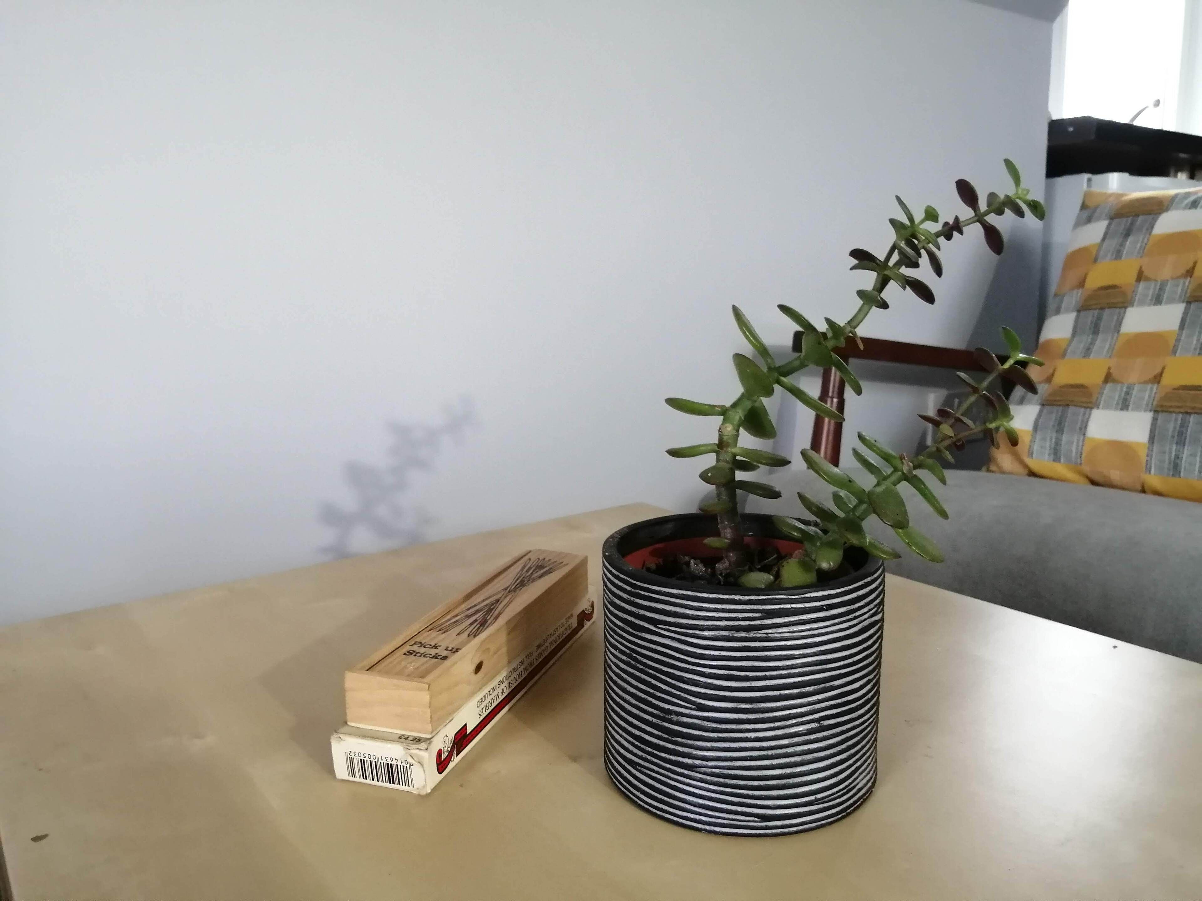 A potted plant on a wooden table with a box beside it.