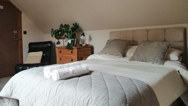 Une chambre à coucher avec un lit, une table de chevet, une chaise et une plante en pot.