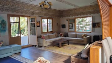 TV, fireplace, books