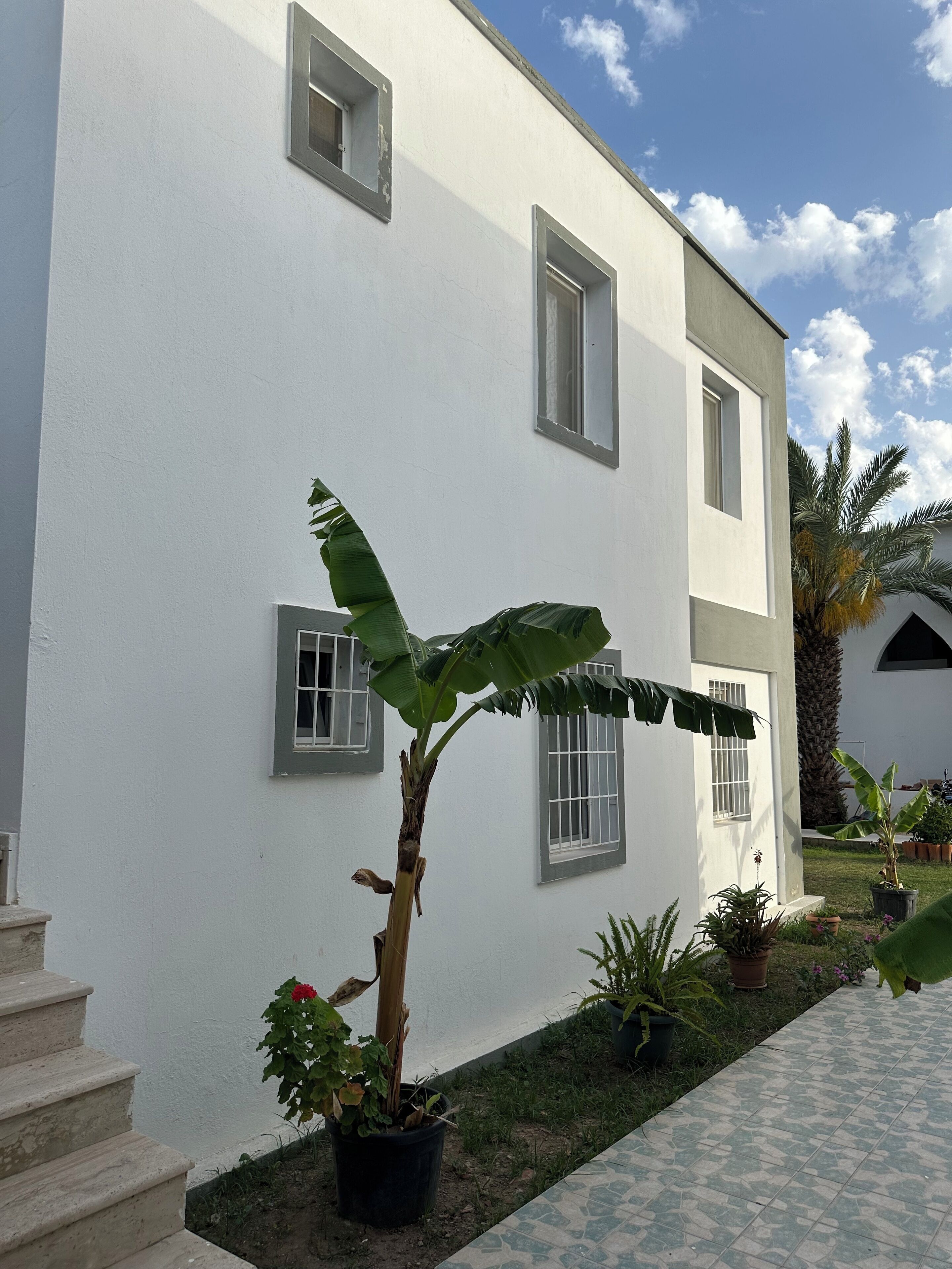 A white building with a tiled pathway and potted plants.