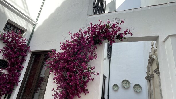 Un edificio blanco con una piscina pequeña y enredaderas de buganvilla rosadas.