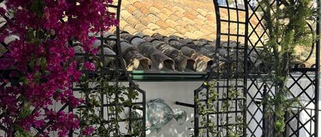 Leilighet – deluxe | Terrasse/patio