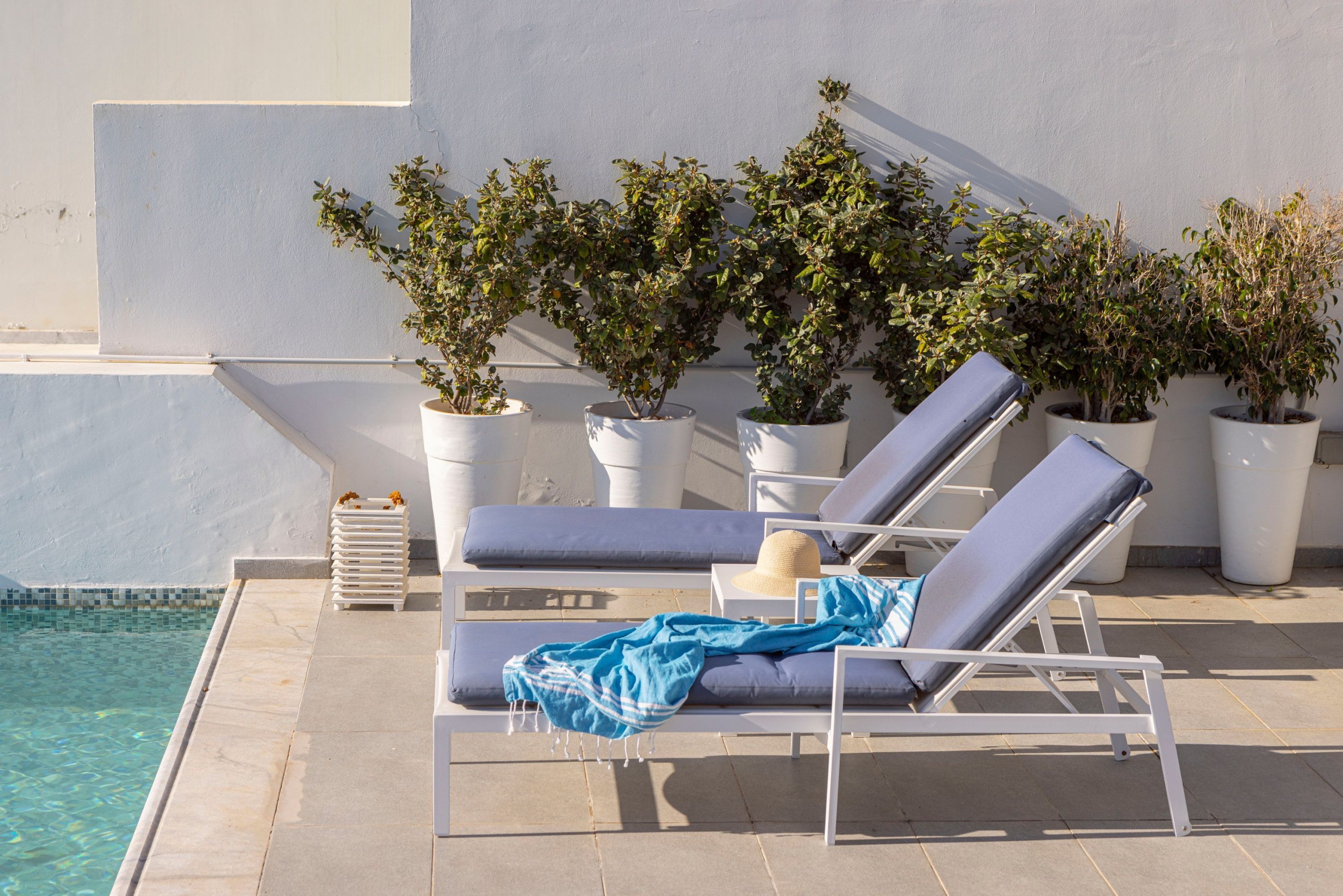 Un área junto a la piscina con sillas de descanso y plantas en macetas.