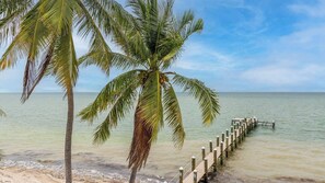 On the beach, sun loungers, beach towels - Ocean`s 11.3 Oceanfront & Beachfront, Dock, Pool, Kayaks, Pool Table 4 Bed 3 Bath (Marathon)