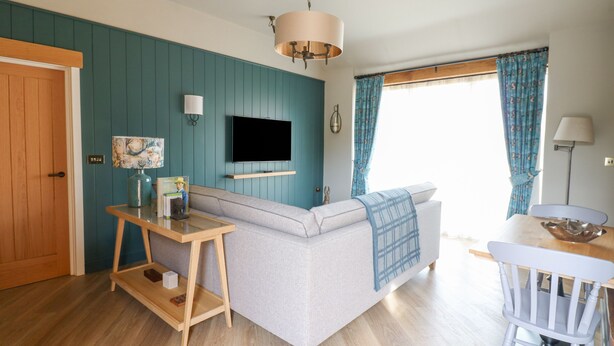 A modern living room with a grey sofa, wooden coffee table, and a TV mounted on teal walls.