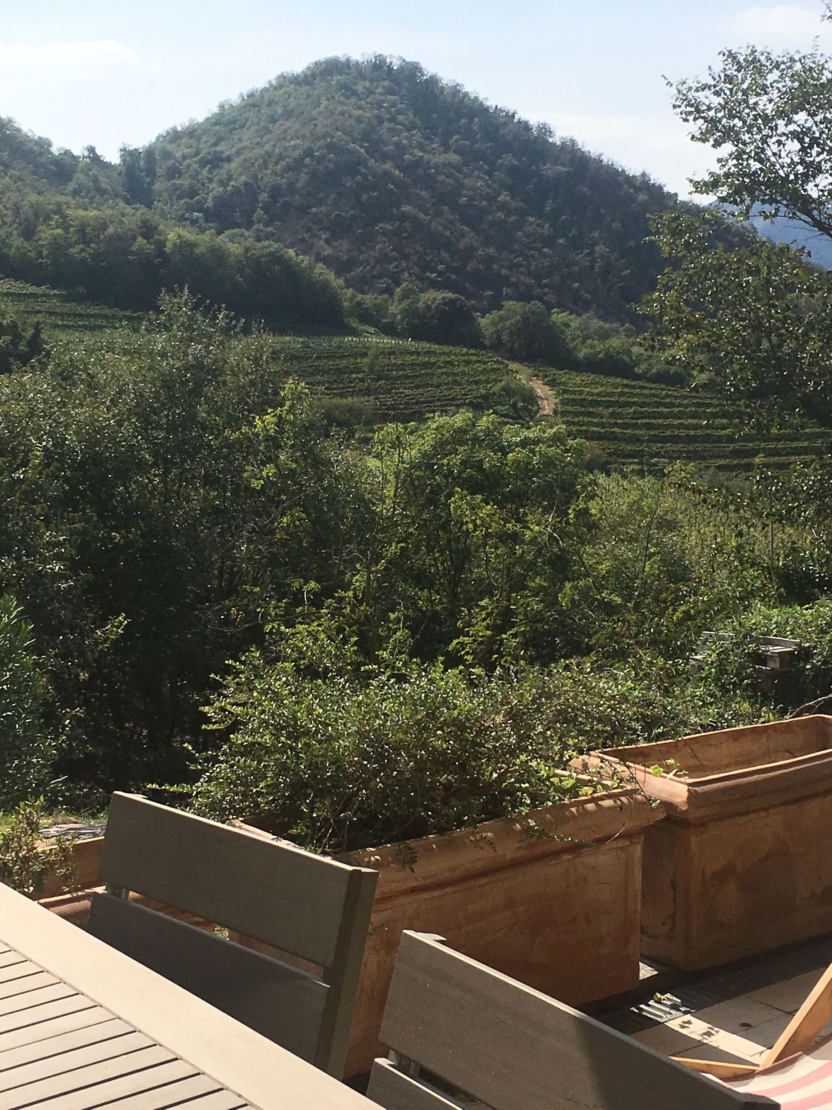 Appartement, 2 slaapkamers, roken, balkon | Uitzicht vanuit accommodatie