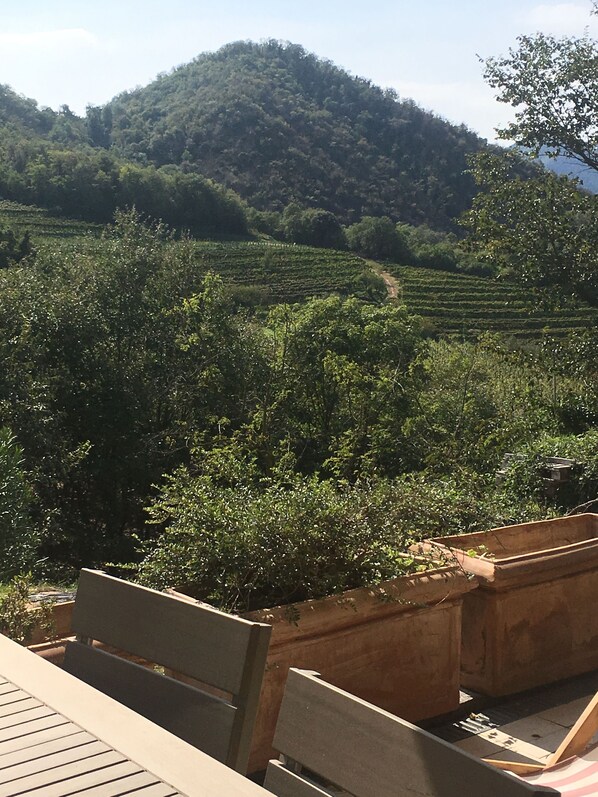 Apartment, 2 Bedrooms, Smoking, Balcony | View from property - Euganean Hills Apartment (Montegrotto Terme)