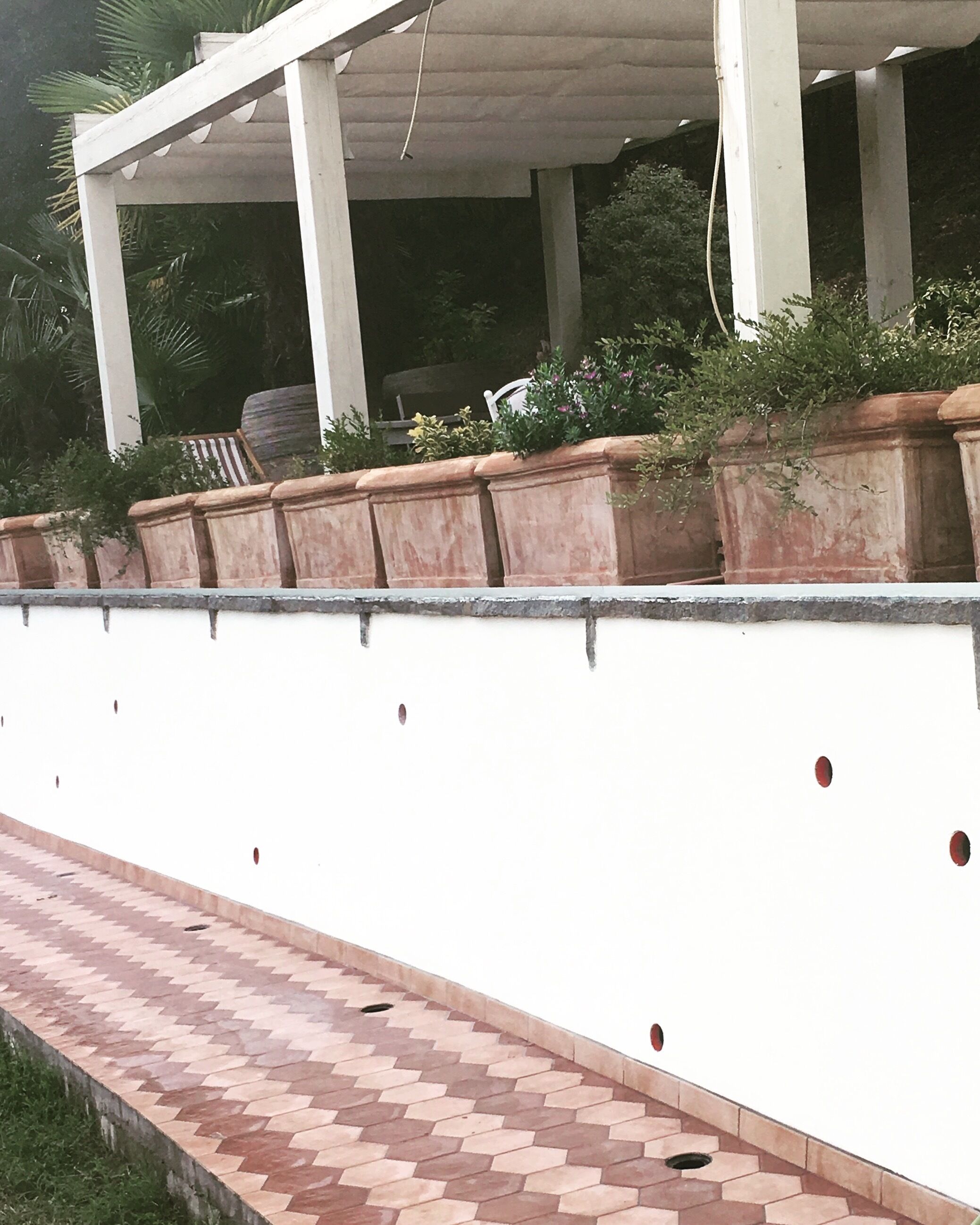 Un espace extérieur abrité, avec un mur blanc, des plantes en pot et un chemin dallé.