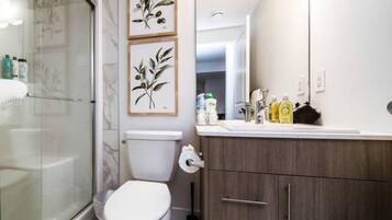 Hair dryer, towels, soap, shampoo