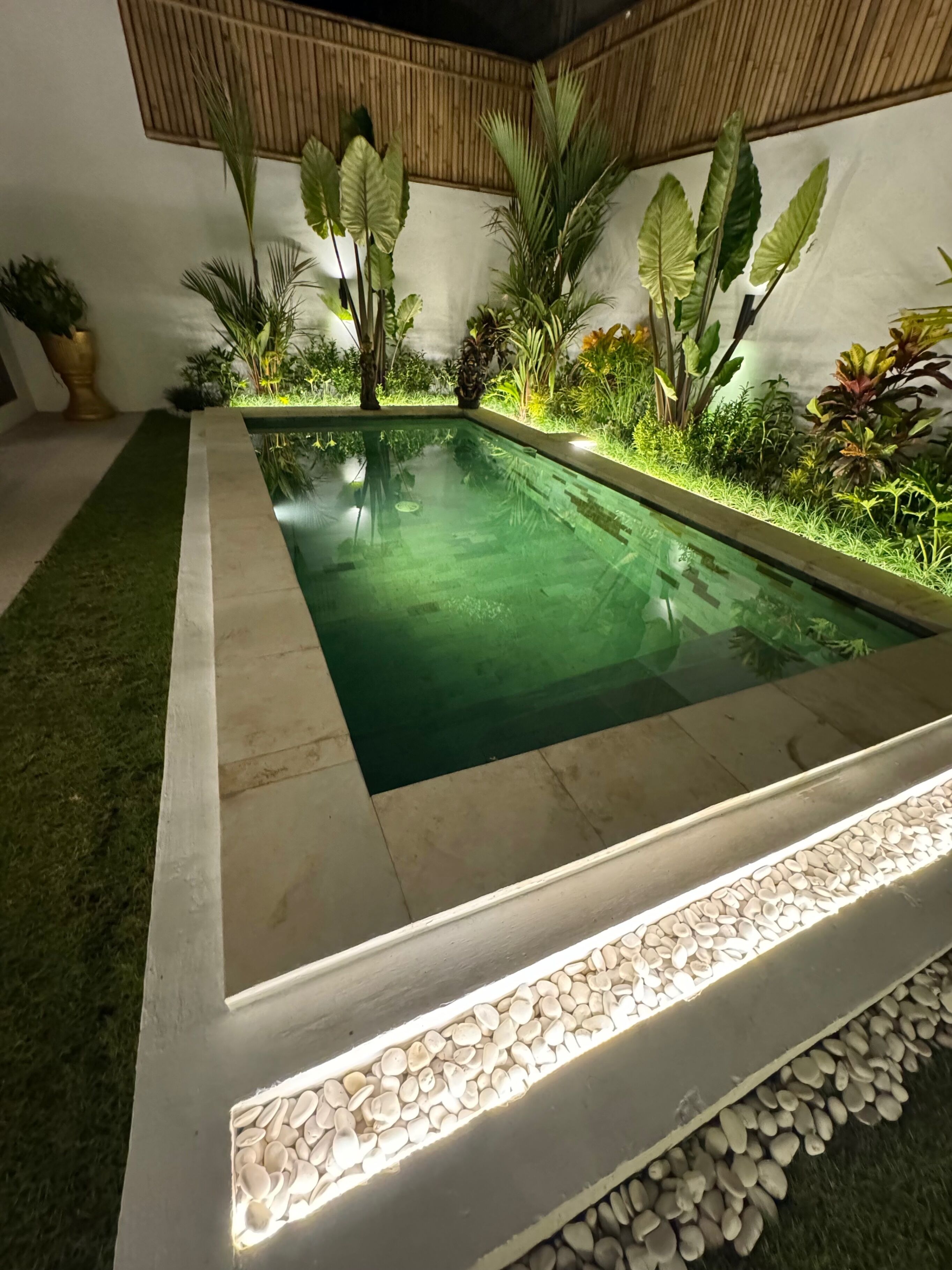 Piscina retangular com água cristalina, rodeada por plantas variadas e uma borda de pedrinhas.