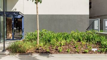 A garden area with various plants and a small tree, adjacent to a building with a glass entrance and a metal gate.