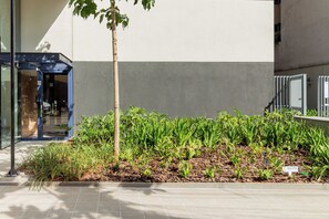 A garden area with various plants and a small tree, adjacent to a building with a glass entrance and a metal gate.
