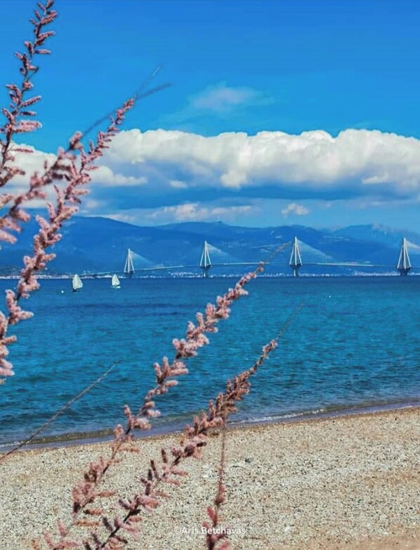 Apartment, 2 Bedrooms, Patio, Garden View | Beach
