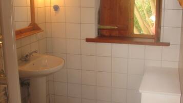 Shower, towels, toilet paper