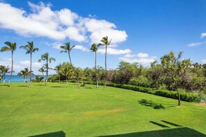 A well-maintained grassy area with palm trees and a view of the ocean.