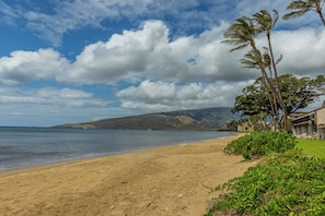 Une plage avec un ciel dégagé, des palmiers et une montagne qui se dessine à l’horizon.