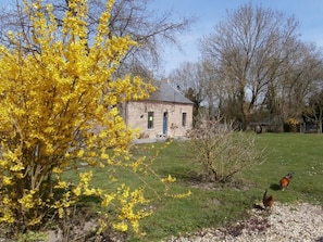 Ulkopuoli