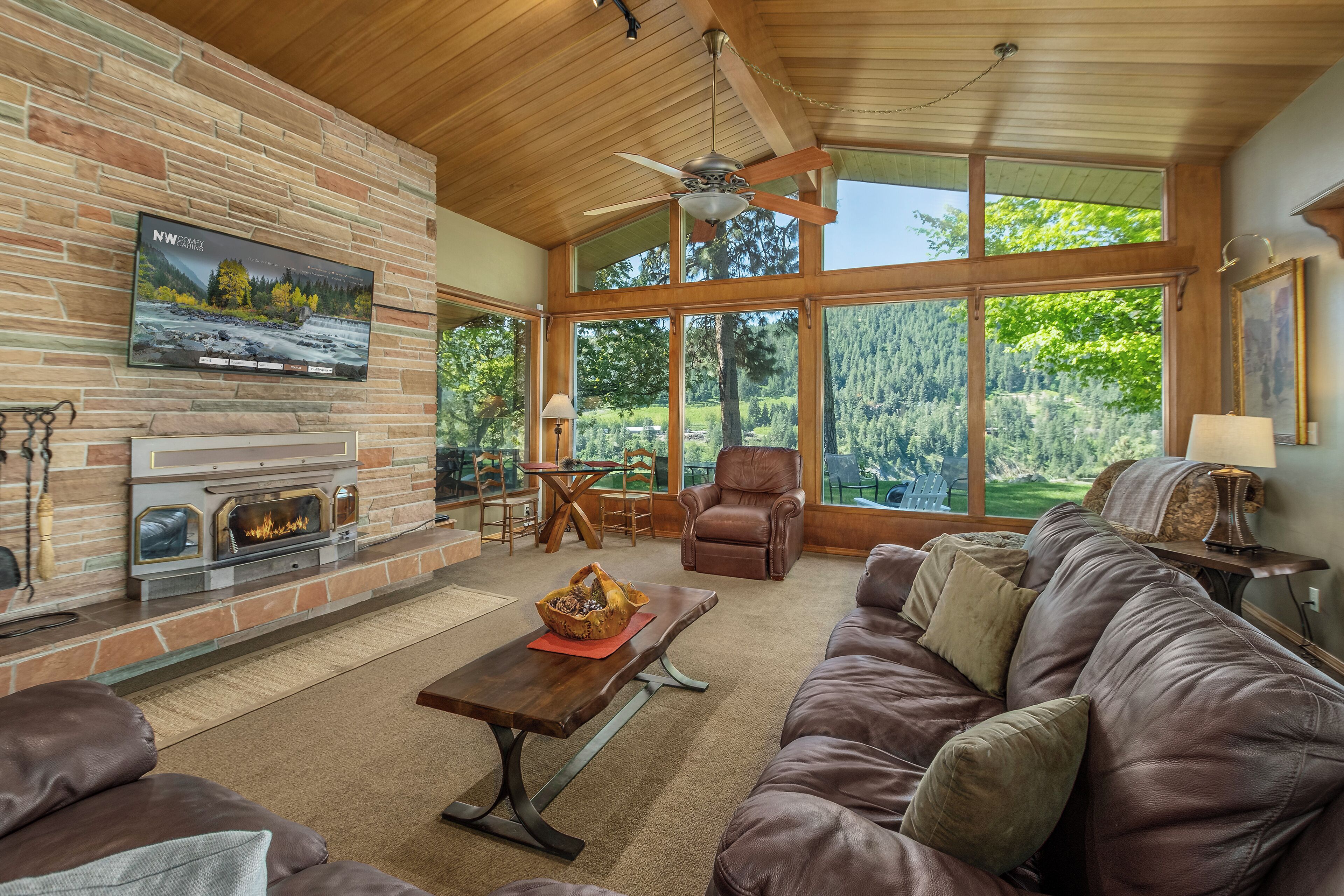 TV, fireplace, books