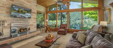 TV, fireplace, books