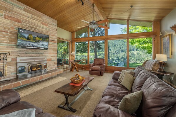 TV, caminetto, libri