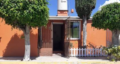 Beautiful Gray Tule House Oaxaca