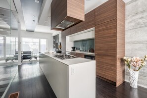 Private kitchen - Luxury 4BR Townhouse in Downtown Toronto (Toronto)