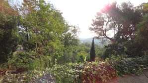 Um jardim exuberante com diversas plantas e árvores, um caminho e uma vista distante de uma paisagem urbana.