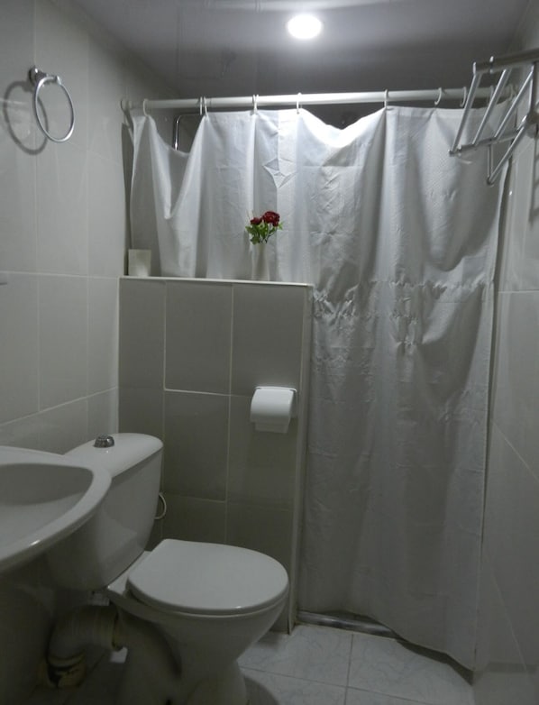 A bathroom with a toilet, sink, and shower curtain.