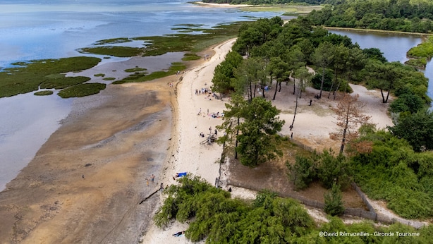 Luchtbeeld van een strand met een zandstrand, groene begroeiing en een rustig waterlichaam.