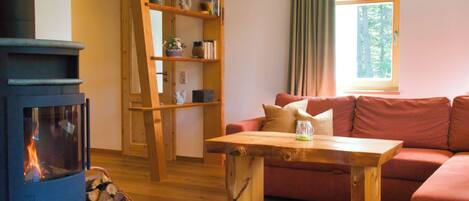 Smart TV, fireplace, books
