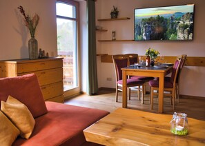 Smart TV, fireplace, books