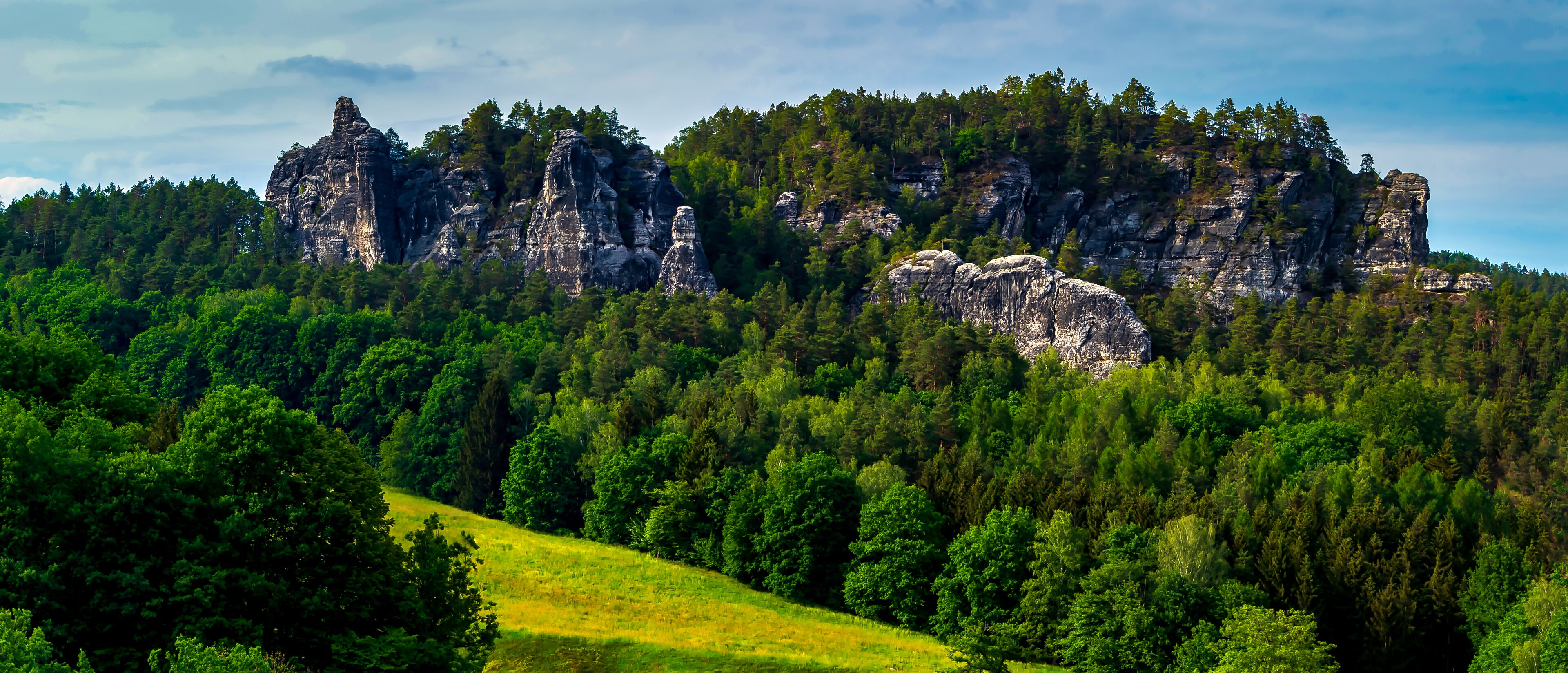 A mountainous landscape with dense forest and rocky outcrops.