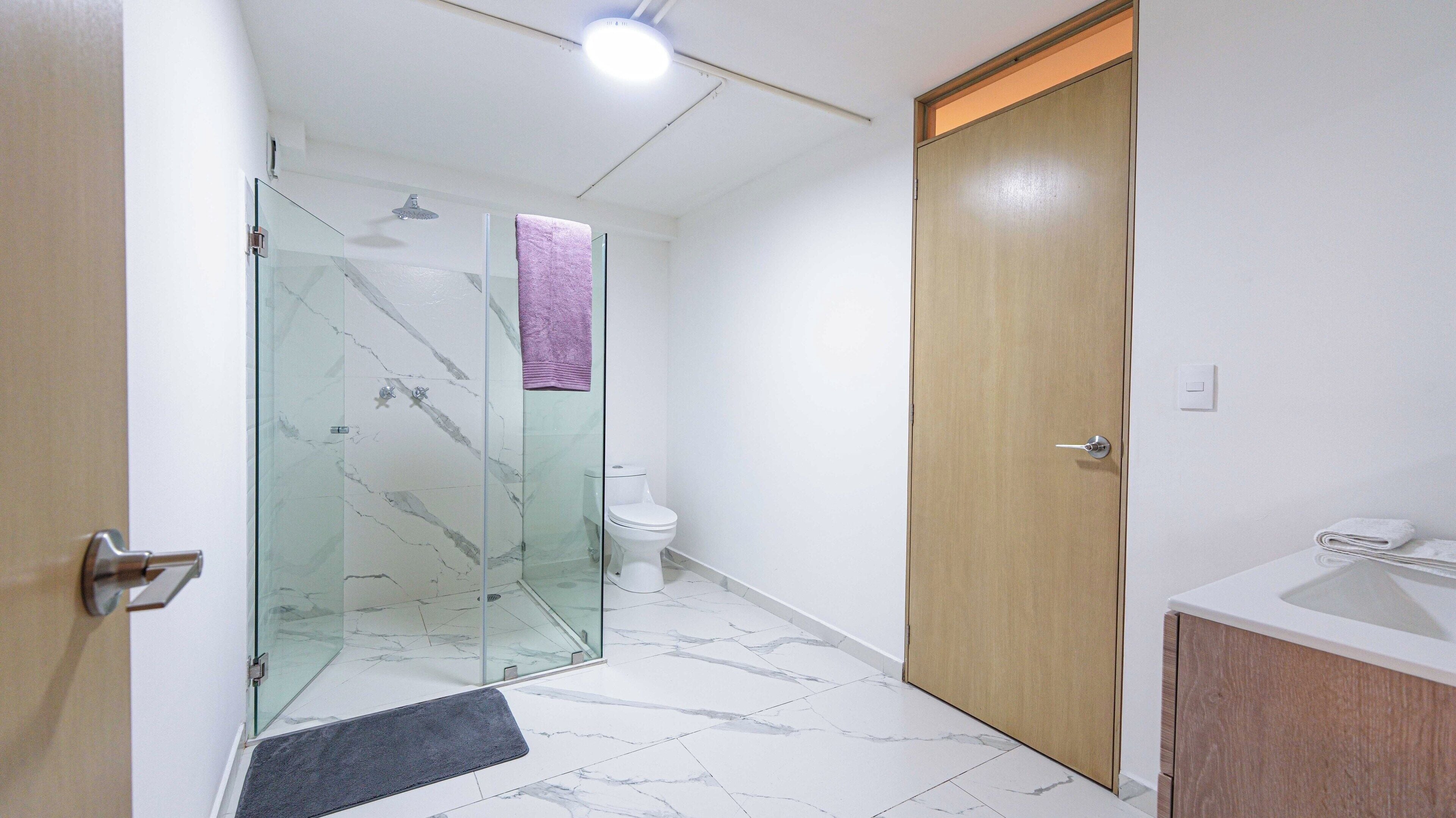 A bathroom with a glass shower enclosure, a toilet, a wooden door, and a sink with a countertop.