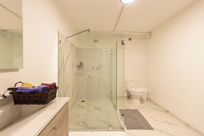 Standard-huoneisto, 1 suuri parisänky ja vuodesohva, keittiö | Kylpyhuone | Suihku, sadesuihkupää, hiustenkuivaaja, pyyhkeet