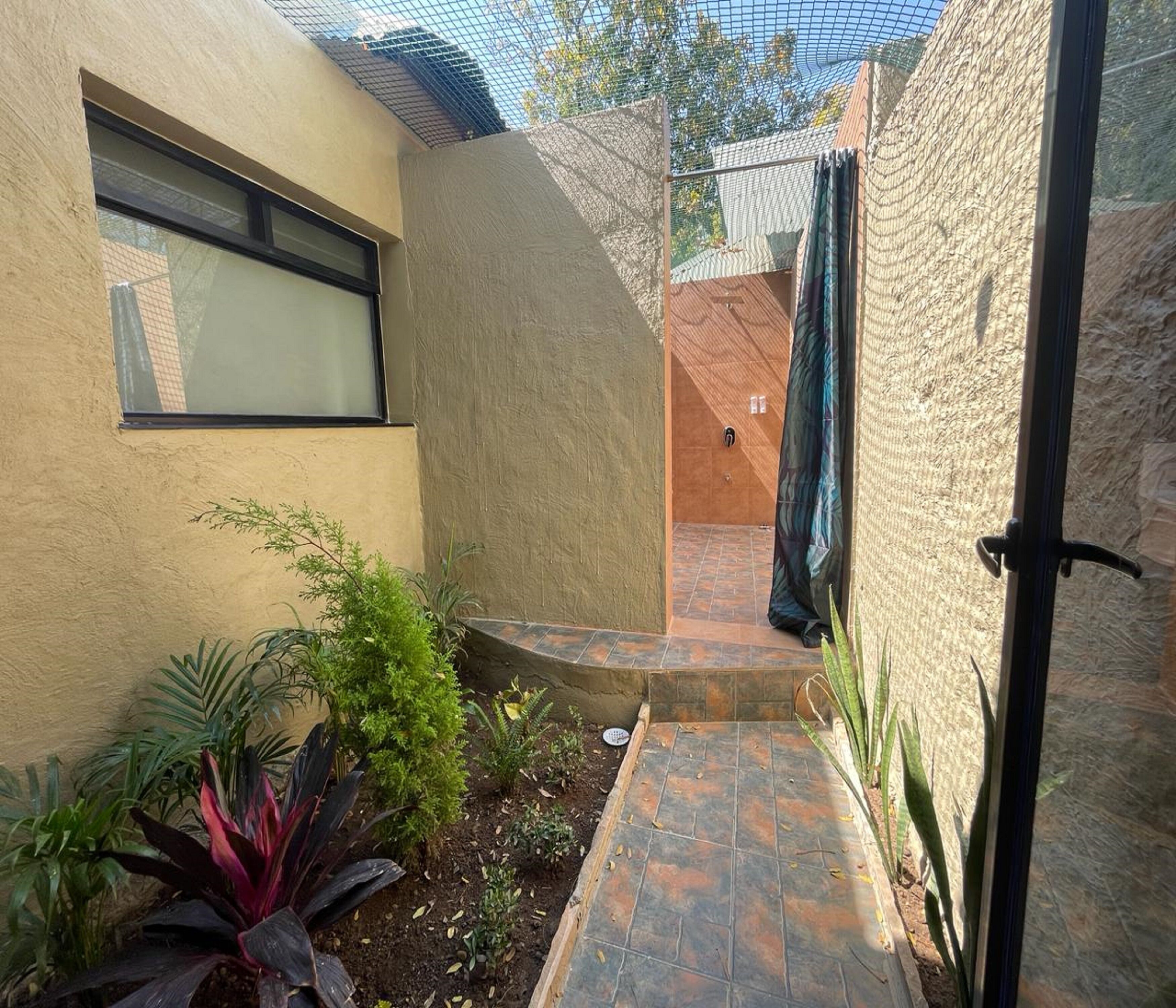 A small courtyard with a stone pathway, a window, and a door.
