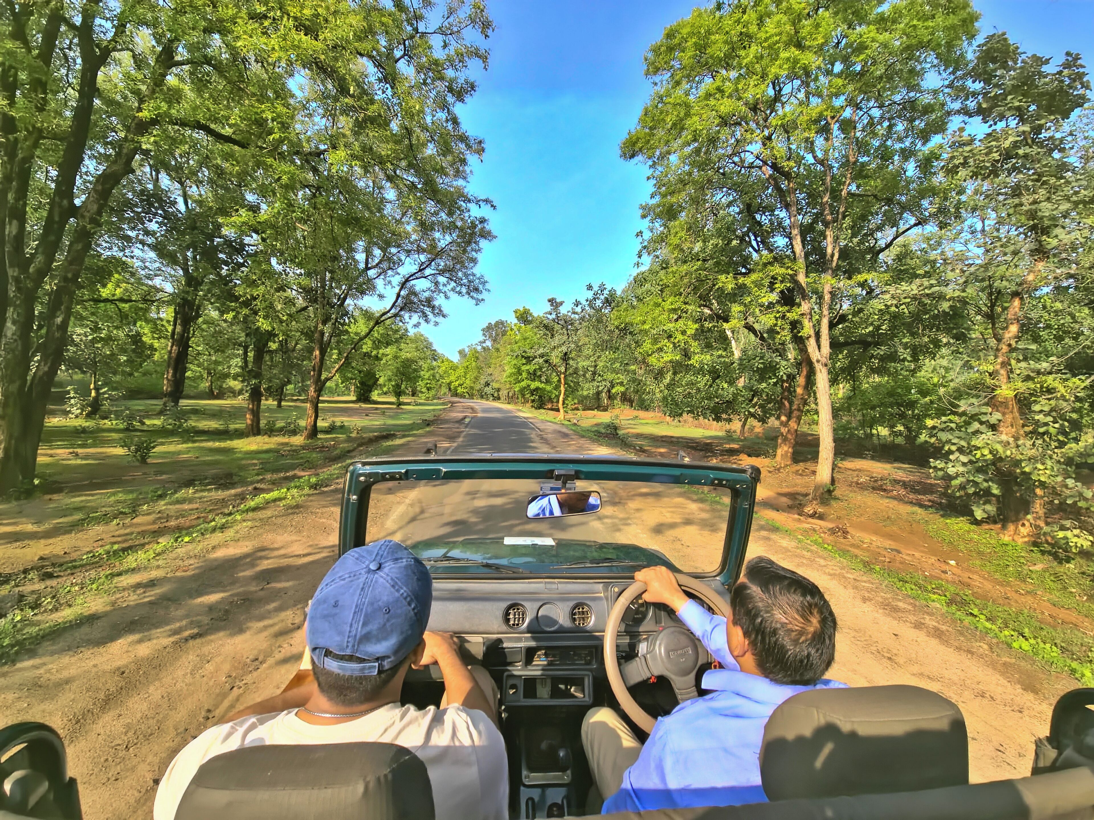 A vehicle driving on a dirt road surrounded by trees.