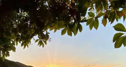 Cottage Chaleureux Cévenol