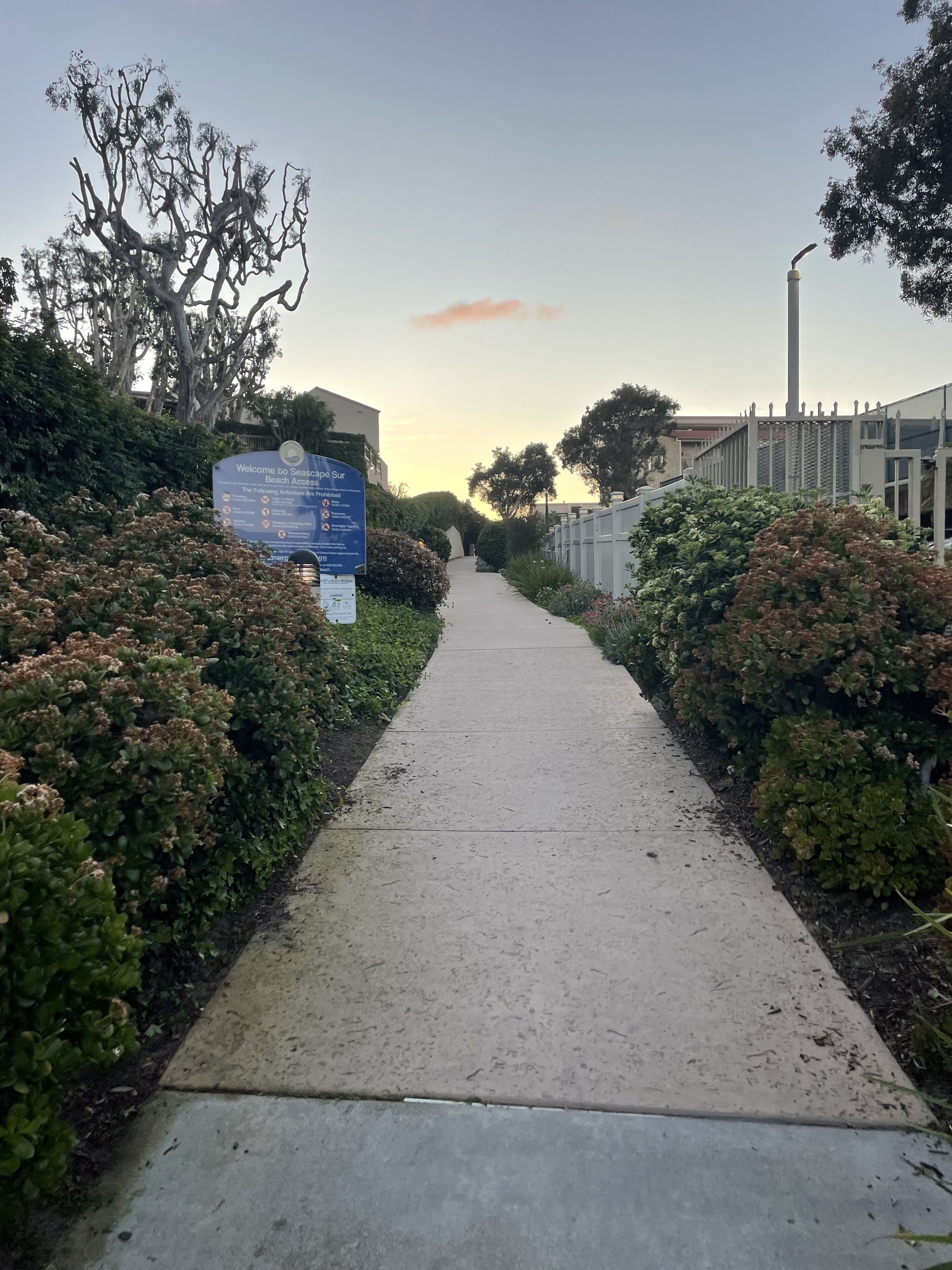 A pathway leading to a building with a signboard.