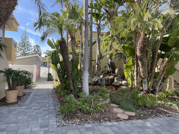 Property grounds - Charming Solana Beach 1br-4 resort across from beach, Pool, Spa, dolphin watch (Solana Beach)