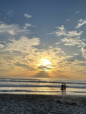 Sun-loungers, beach towels - Charming Solana Beach 1br-4 resort across from beach, Pool, Spa, dolphin watch (Solana Beach)