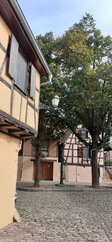 Beautiful holidays in Alsace, near Colmar - gîte de la Muse