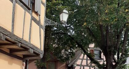 Beautiful holidays in Alsace, near Colmar - gîte de la Muse