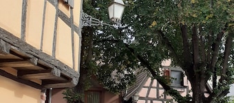 Coup de cœur en Alsace, proche Colmar - gîte de la Muse et son jardin
