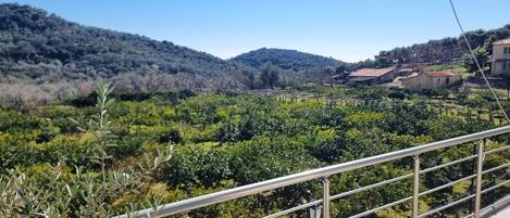 Departamento familiar, cocineta, vista al jardín | Vista a la montaña